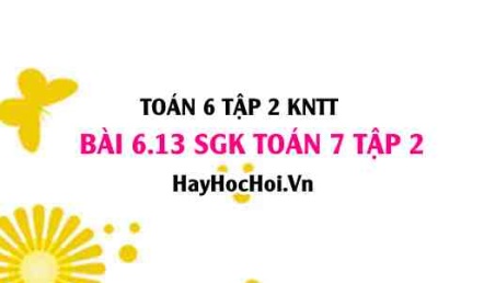 Bài 6.13 SGK Toán 7 tập 2 Kết nối tri thức